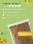 Семена горчицы желтой 3 кг для маринадов и посева