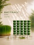 Набор «Зелёный детокс»