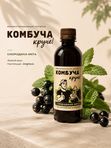 Набор комбуча. Микс 4 вкуса, сет 8 шт