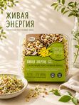 Ростковый микс «Живая энергия» 100 г