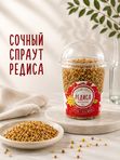Набор «Живой зелёный ужин»