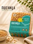 Проростки пшеницы 150 г