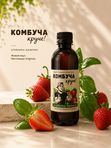 Набор комбуча. Микс 4 вкуса, сет 8 шт