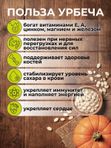 Урбеч из тыквенных семечек с медом и маслом гхи 200 г
