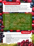 Кисель Сибирские ягоды быстрорастворимый натуральный 400 г