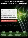 Аминокислотный пептидный комплекс для суставов и связок IPH AEN BCAA