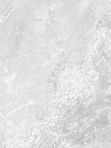 Storm light gray