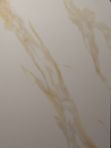 Calacatta Gold