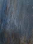 Richmond Blue