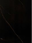 Olvis black