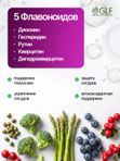 Флебокомплекс венотоник, диосмин и гесперидин, от варикоза и отека ног, для вен и сосудов, БАД ОМЕГА 3 рыбий жир, конский каштан, рутин, дигидрокверцетин, кверцетин