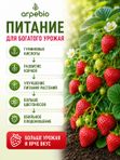 Удобрение для клубники осеннее / подкормка для клубники на подоконнике ArPeBio 500 мл