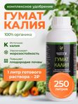 Гумат калия удобрение осеннее универсальное для растений Чудозём 500 мл / гумат калия жидкий