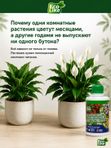 Органическое экоудобрение для комнатных растений спатифиллума, замиокулькаса EcoLike 250 мл