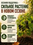 Удобрение для клубники осеннее / подкормка для клубники на подоконнике ArPeBio 500 мл