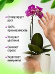 Осеннее удобрение для цветов садовых жидкое ЭКОСС 1литр концентрат / удобрение осеннее для роз, хризантем