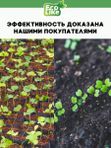 Удобрение для огурцов кабачков патиссонов/ подкормка для огурцов жидкая EcoLike 500 мл