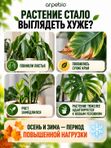 Антистресс для растений комнатных / органическое эко удобрение для комнатных цветов ArPeBio
