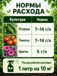 Средство от мучнистой росы на огурцах, фитофтороза и гнилей 4 шт х 20 гр / удобрение для защиты растений от болезней