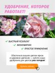 Удобрение для роз осеннее гранулированное FLOVITAL подкормка для пионов 1 кг