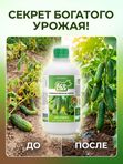 Удобрение для огурцов кабачков патиссонов/ подкормка для огурцов жидкая EcoLike 500 мл