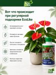 Органическое экоудобрение для комнатных растений спатифиллума, замиокулькаса EcoLike 250 мл