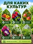 Средство от мучнистой росы на огурцах, фитофтороза и гнилей 4 шт х 20 гр / удобрение для защиты растений от болезней