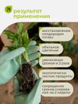 Органическое удобрение для рассады овощей / подкормка для огурцов и помидоров на подоконнике / стимулятор роста и корнеобразования ArPeBio 2 л