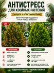 Антистресс для растений комнатных / органическое эко удобрение для комнатных цветов ArPeBio