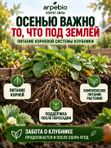 Удобрение для клубники осеннее / подкормка для клубники на подоконнике ArPeBio 500 мл