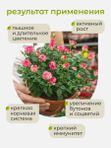 Осеннее удобрение для роз садовых ArPeBio 500 мл / подкормка для роз и пионов