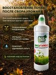 Удобрение для огурцов кабачков патиссонов/ подкормка для огурцов жидкая EcoLike 500 мл