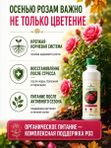 Осеннее удобрение для роз садовых ArPeBio 500 мл / подкормка для роз и пионов