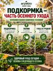 Удобрение для клубники осеннее / подкормка для клубники на подоконнике ArPeBio 500 мл