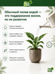 Органическое экоудобрение для комнатных растений спатифиллума, замиокулькаса EcoLike 250 мл