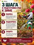 Осеннее удобрение для цветов садовых жидкое ЭКОСС 1литр концентрат / удобрение осеннее для роз, хризантем
