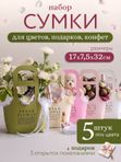 Сумка для цветов флористическая набор 5 шт плайм пакет