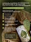 Масло для роста волос, инфуз 8 трав, активатор роста волос 100 мл