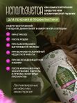 Масло для роста волос, инфуз 8 трав с фитоэстрогенами, активатор роста волос 100 мл
