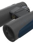 Бинокль Vector Optics Continental 8x42 ED, Roof-призмы BaK-4, чёрный