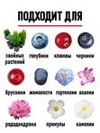 Торф кислый для гортензии и голубики