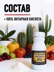Янтарная кислота для растений порошок ABO, 200 гр.