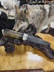 Большой нож с клыком моржа, деревом и зубом медведя