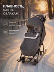 Санки-коляска Nika "Наши детки 6" Серый с ламой (НДТ6/1)