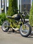 Электрический мотоцикл JOYOY D-001, мощность 250W, аккумулятор 4АH24V, цвет зеленый