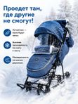 Санки-коляска Наши детки 6 (синий с листочками), зимняя санки-коляска для детей, с глубоким капюшоном и защитой от ветра