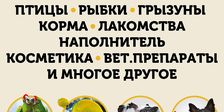 ЛОТОС