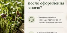 Проростки