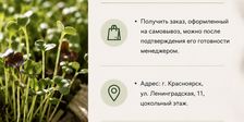 Проростки