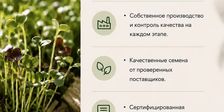 Проростки